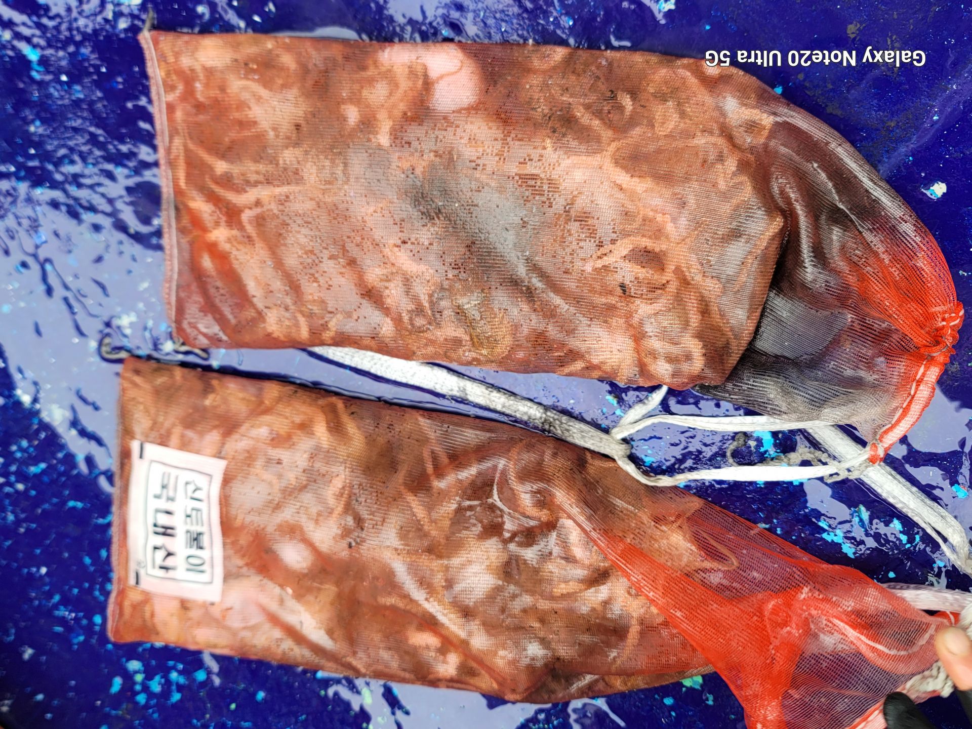 9월12일순풍호조황