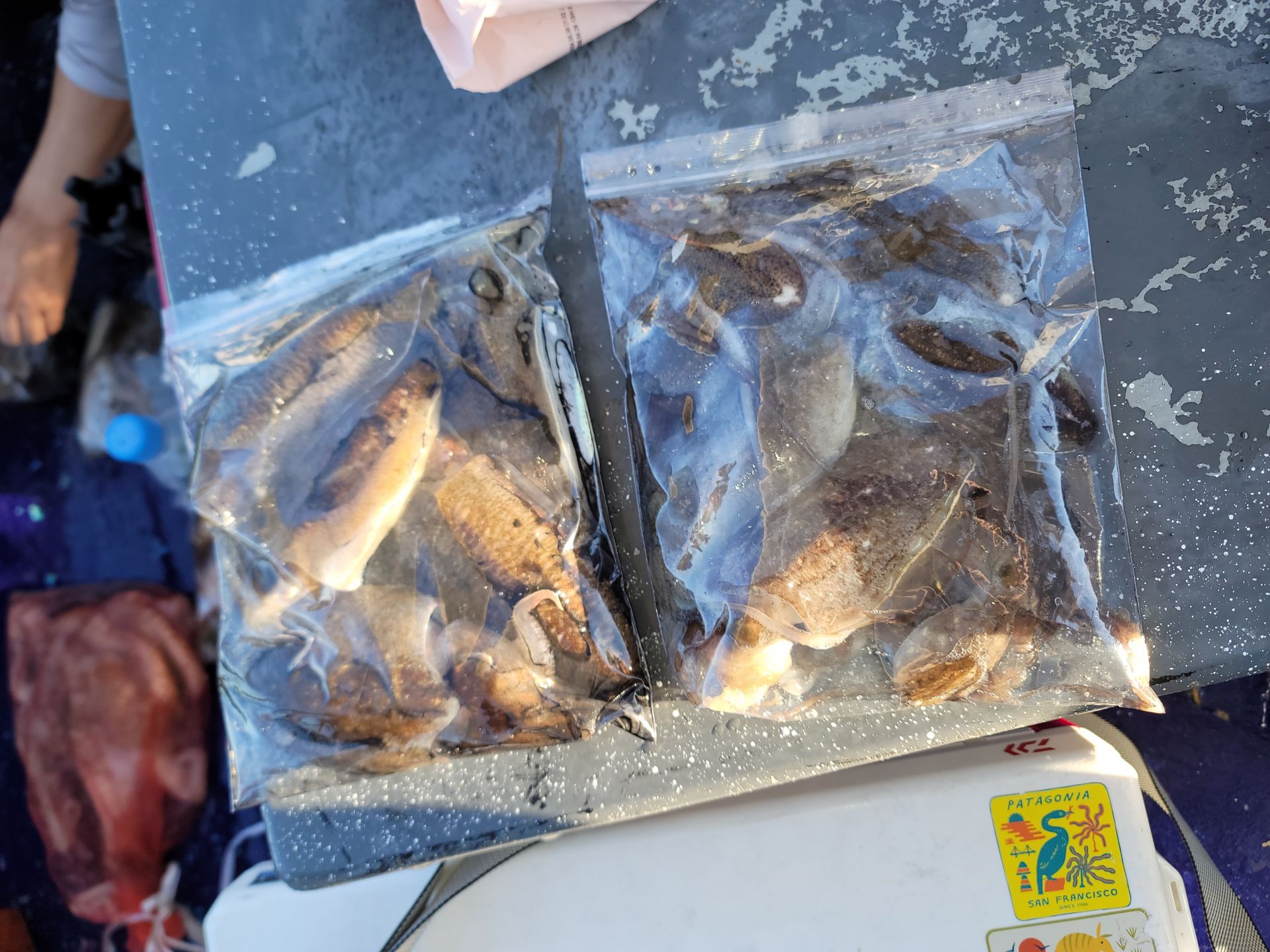 9월30일순풍호조황