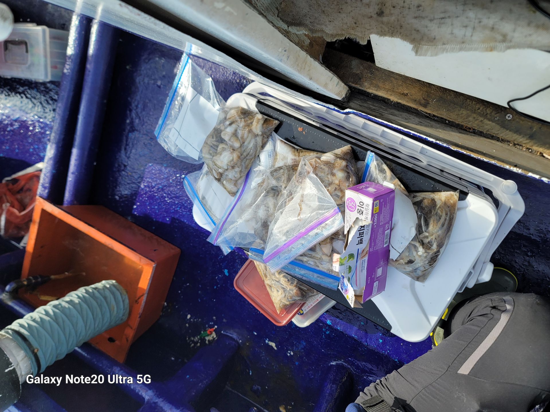 9월1일순풍호조황