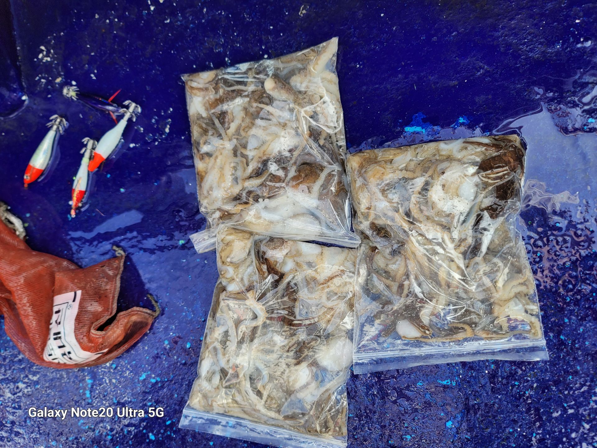 9월13일순풍호조황