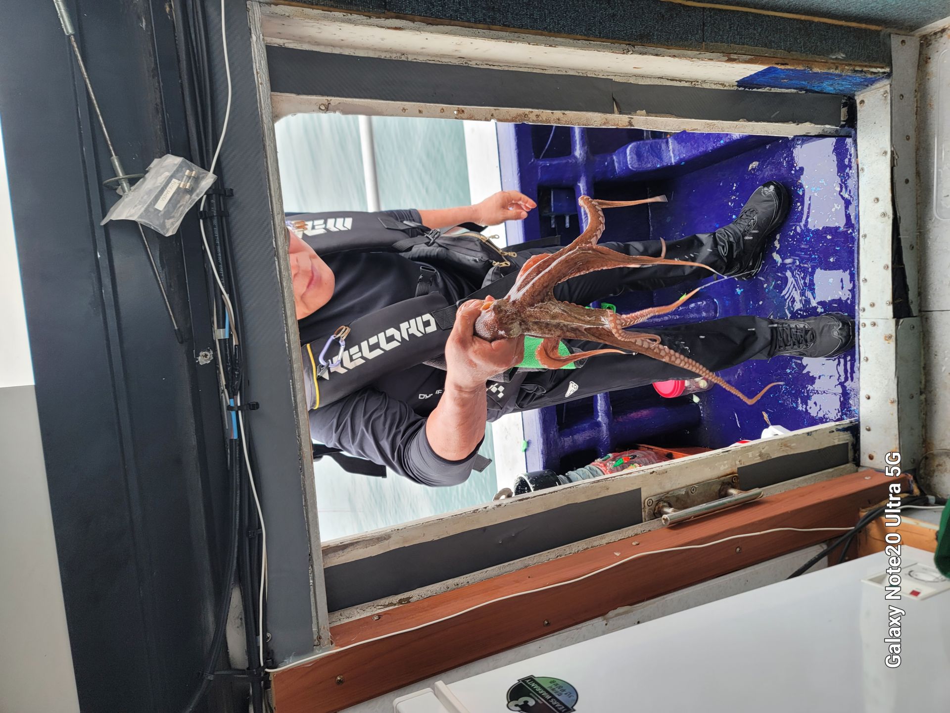 9월12일순풍호조황