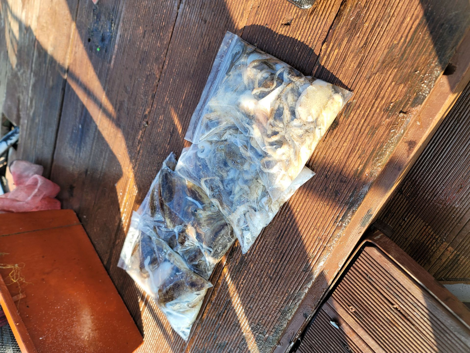 9월15일순풍호조황