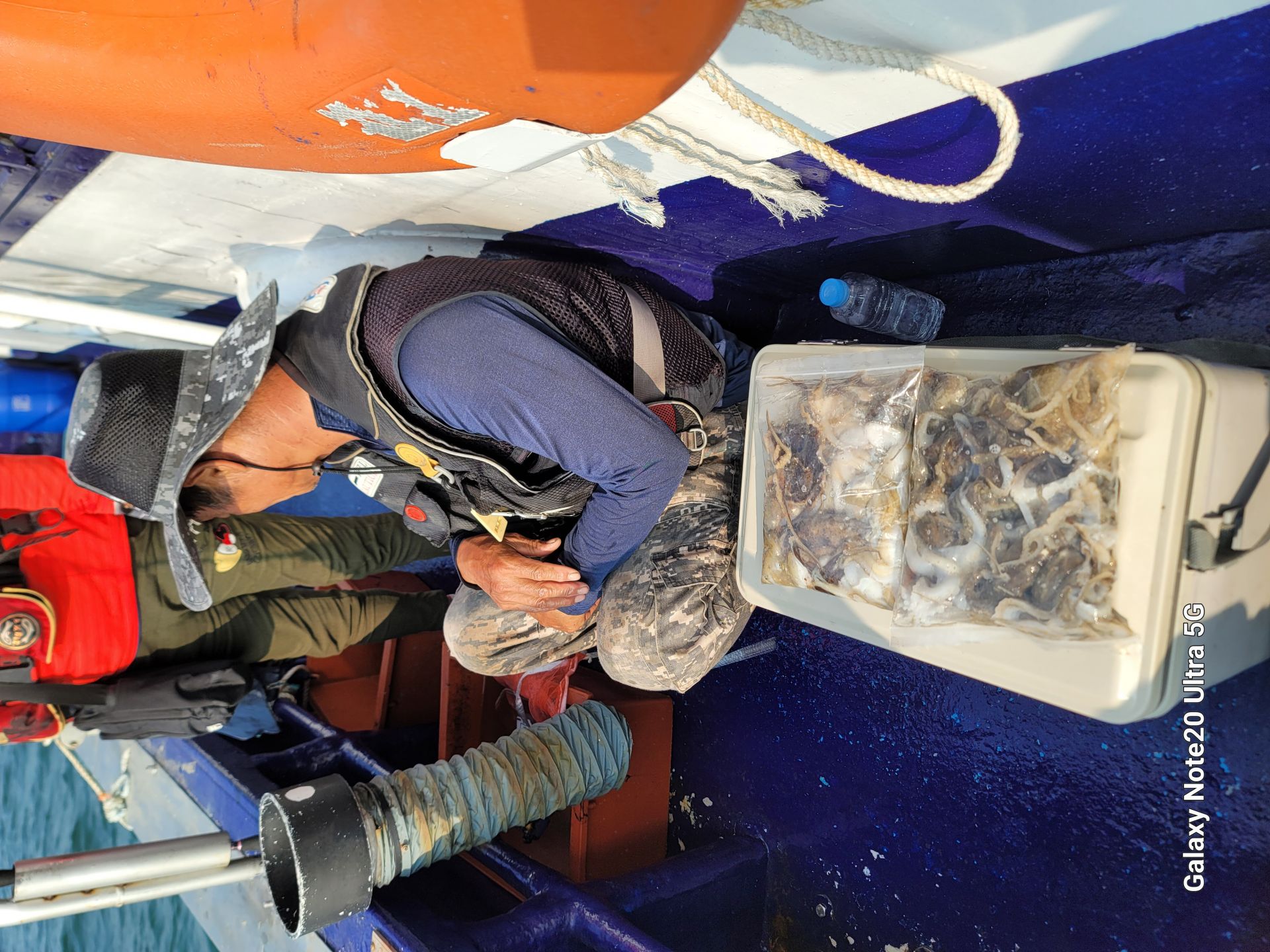 9월10일순풍호조황