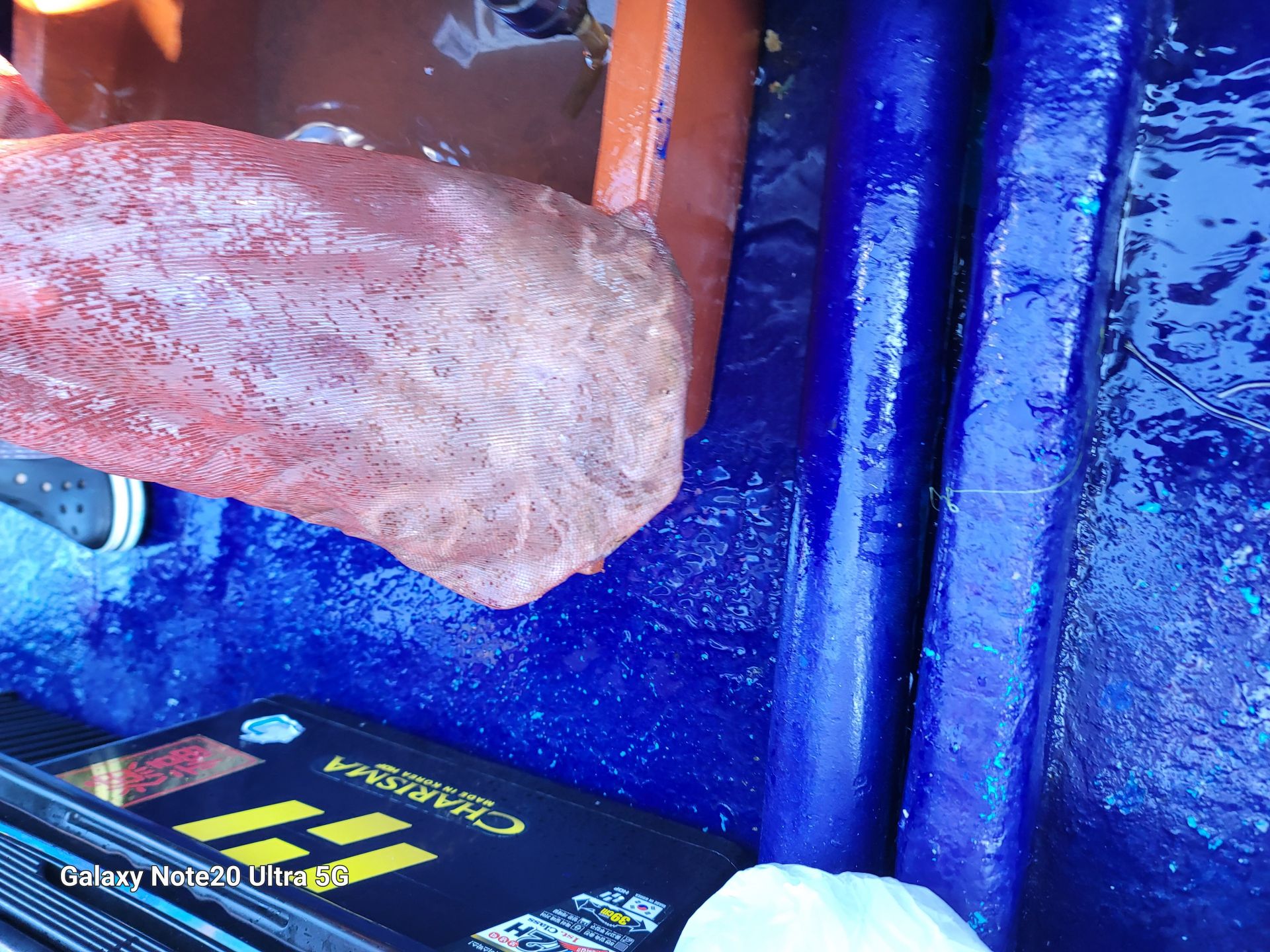 순풍호9월8일조황