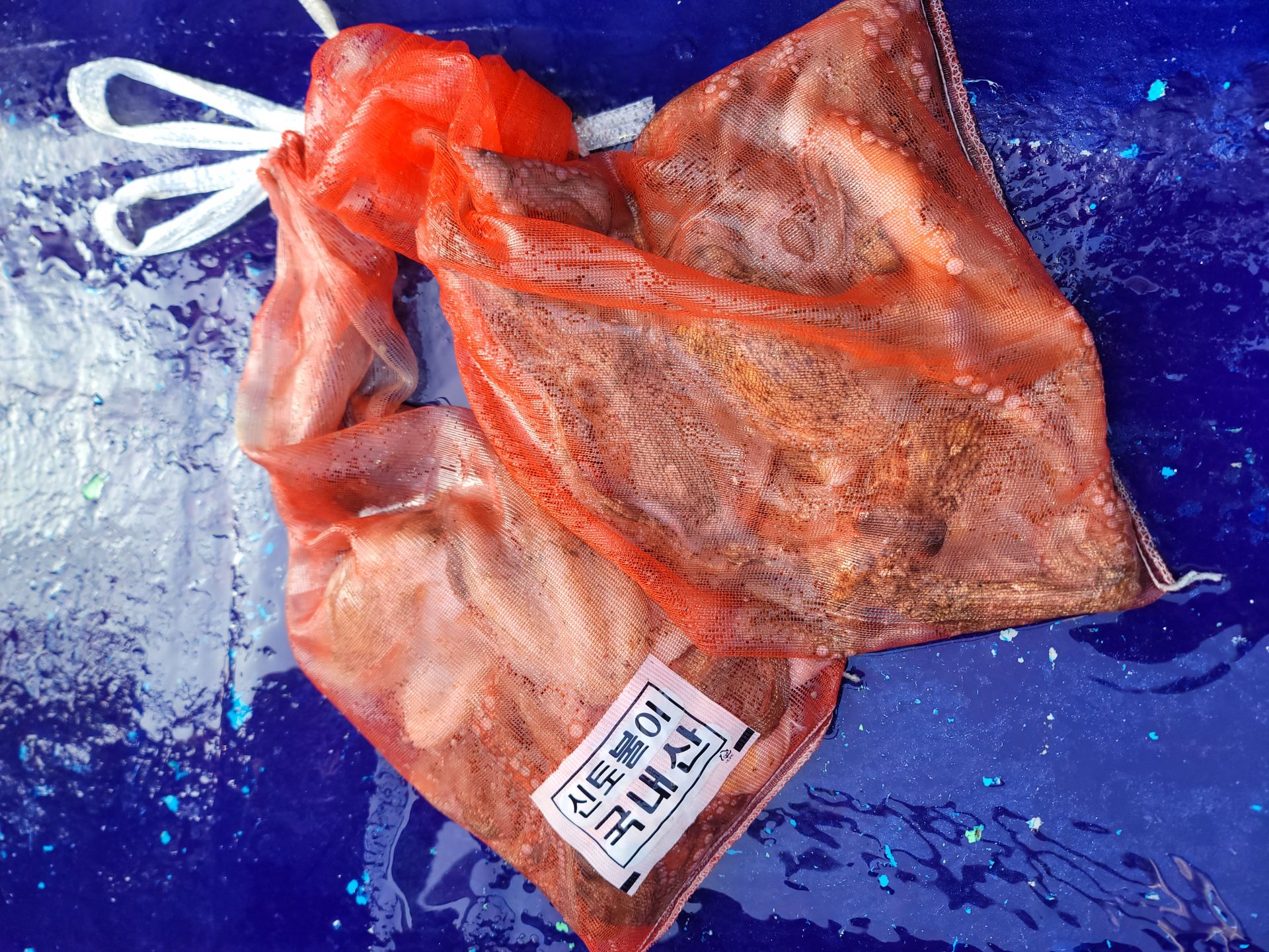 10월11일순풍호조황