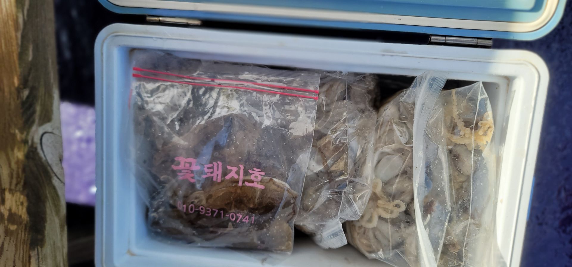 순풍호 9월2일 조황